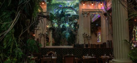 Découvrez le Jungle Palace : Le nouveau restaurant immersif d'Ephemera à Paris !